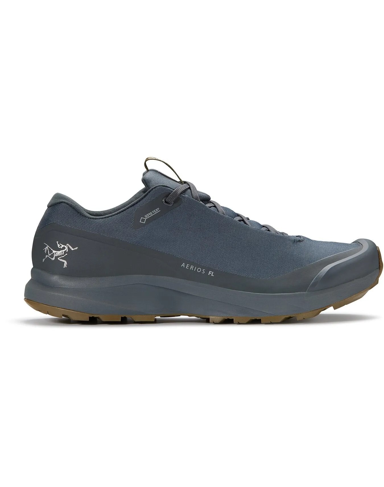 Aerios FL GTX Shoe Men's