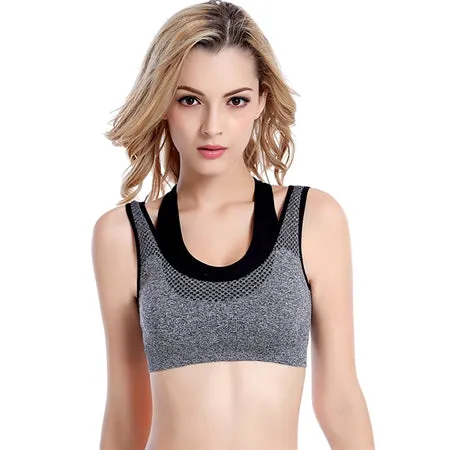 Comfy & Wild Sports Bra