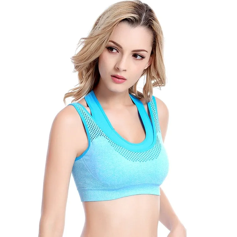 Comfy & Wild Sports Bra